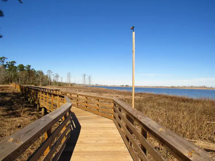 Hotels in Leland