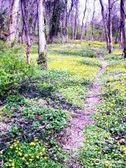 Caldwell Nature Center