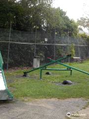 Newtown Park Play Area
