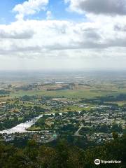 Kauri Loop Track