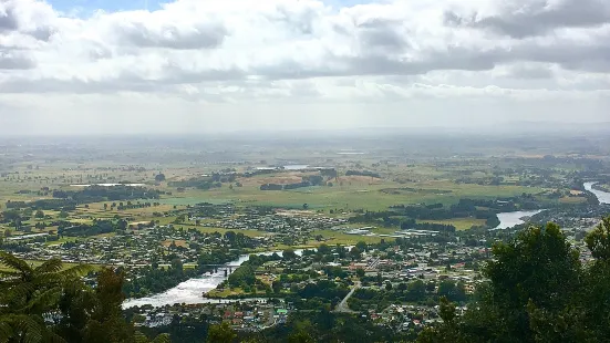 Kauri Loop Track