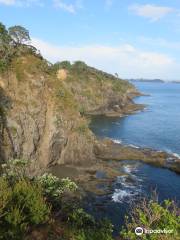 Motuarohia (Roberton) Island Track