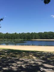 Waretown Lake & Recreation Area