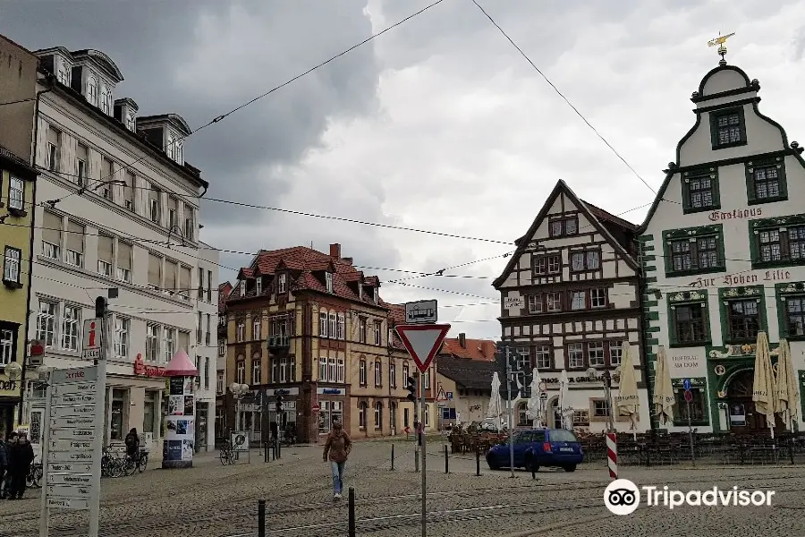 Haus zur Hohen Lilie