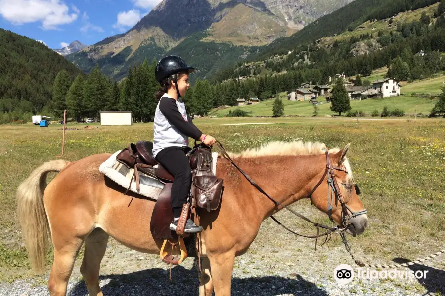 Equitazione Alpina