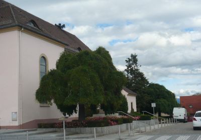 Eglise Saint Michel Bantzenheim