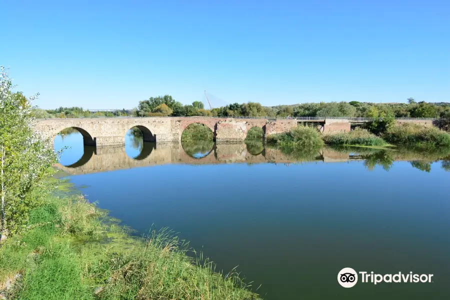 Puente Romano de Santa Catalina