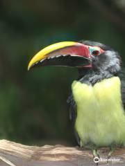 バトンウッド・パーク動物園