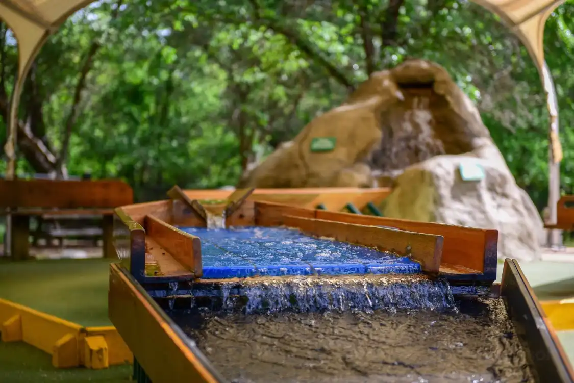 Hotels near Turtle Bay Exploration Park