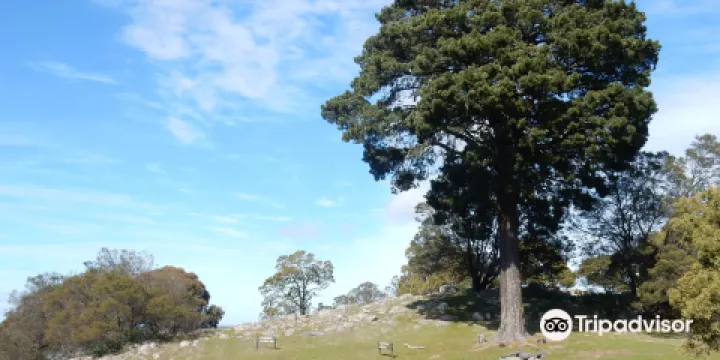 Mount Beckworth Scenic Reserve