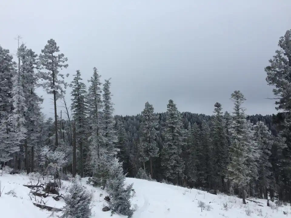3_Ski Cloudcroft