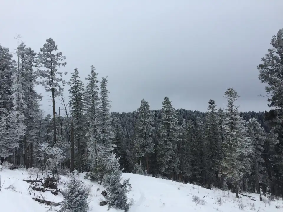 3_Ski Cloudcroft