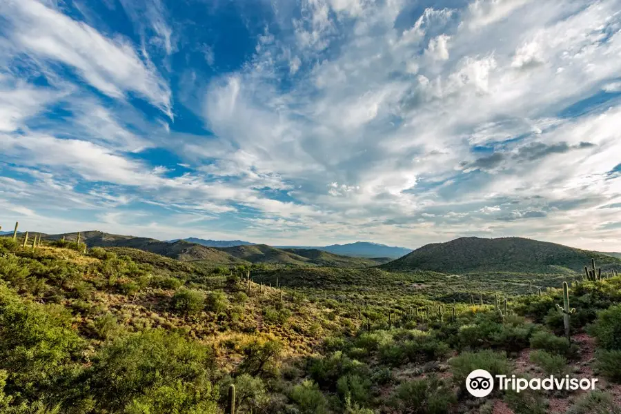 Colossal Cave Mountain Park