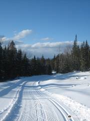 Rangeley Lakes Trails Center