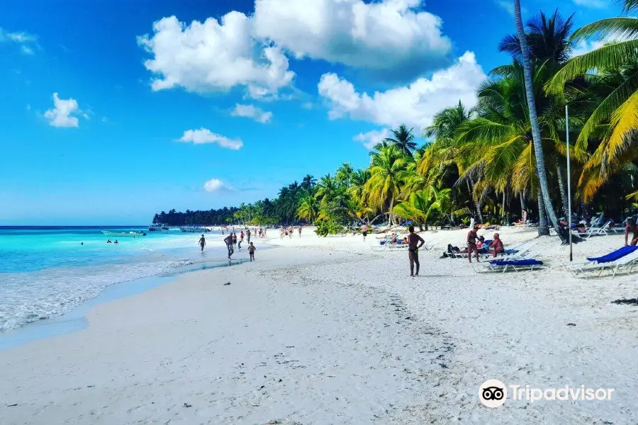 Saona Dreams - Saona Catamaran