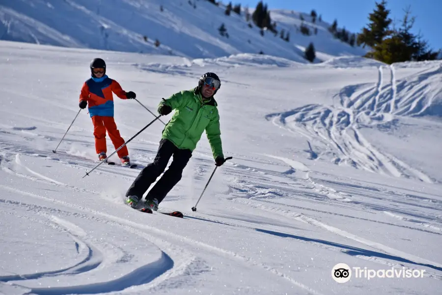 Ski- und Snowboardschule Adrenalin Lenk