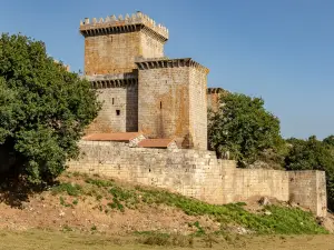 Castle of Pambre