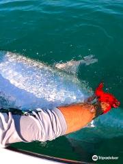 Florida Inshore Fishing Charters