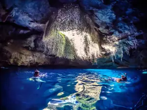 Devil's Den Prehistoric Spring