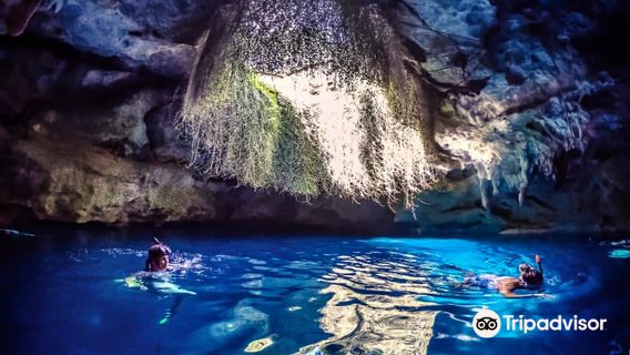 Devil's Den Prehistoric Spring and Campground