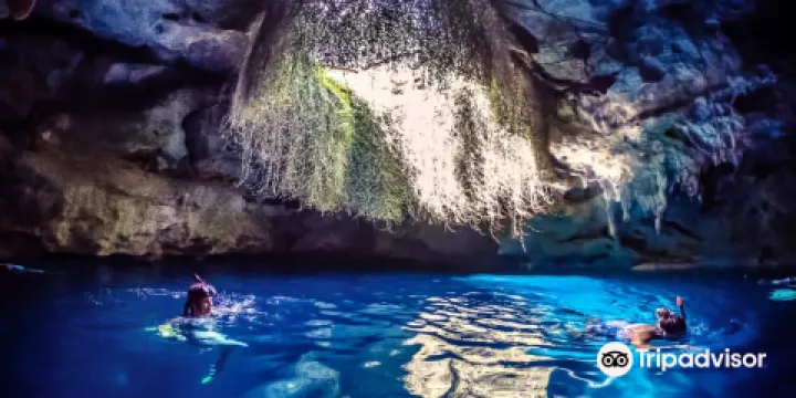 Devil's Den Prehistoric Spring and Campground