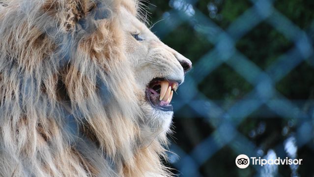 Kamo Wildlife Sanctuary