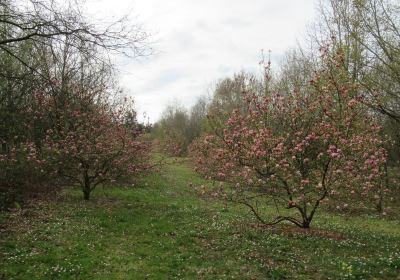 Arboretum de la Roche-Guyon