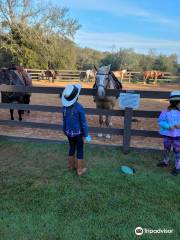 Renegade Equestrian Trailhead