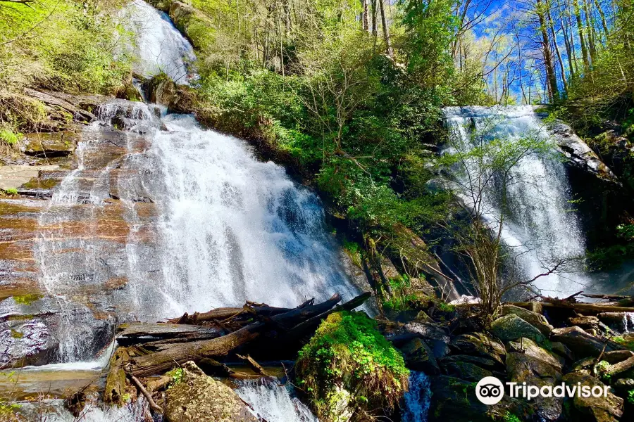 Anna Ruby Falls