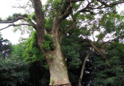 光岡八幡宮