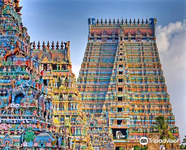 Jodhpur to Tiruchirappalli Flights