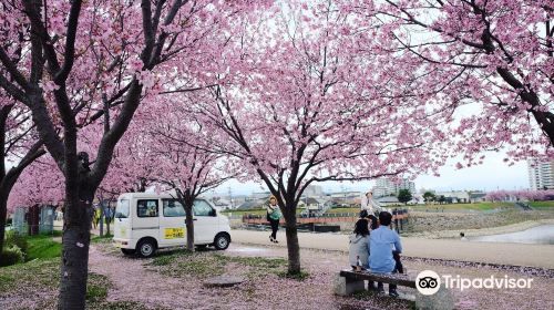 Sayamaike Park