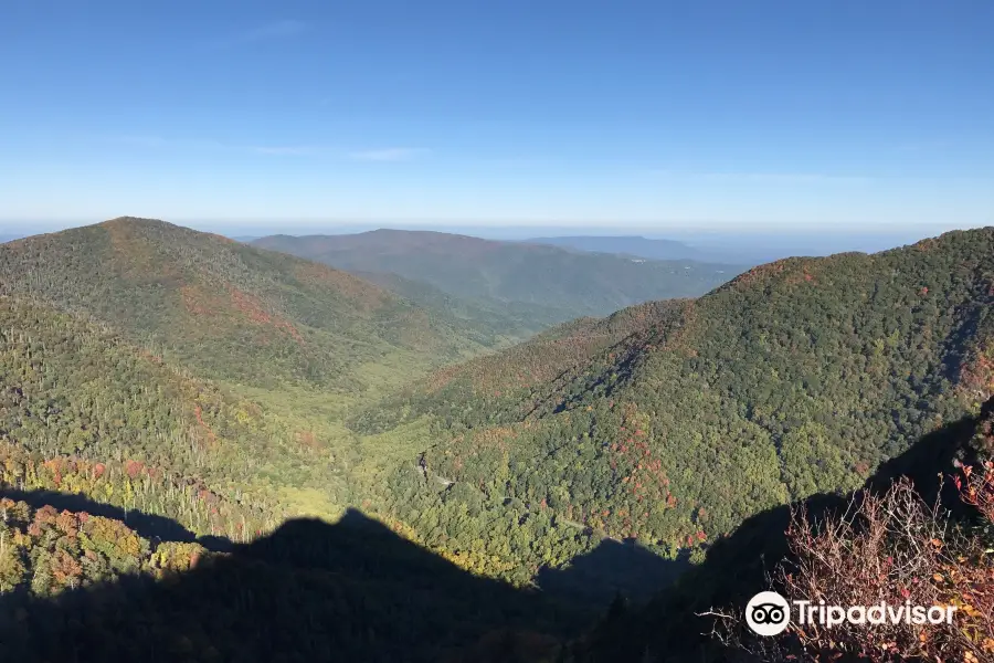 Chimney Tops