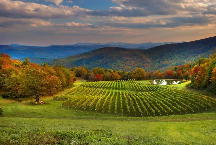 Hotels in Blue Ridge