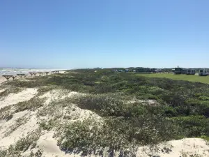 Padre Island National Seashore