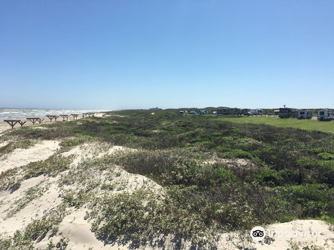 Padre Island National Seashore