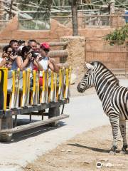 Río Safari Elche