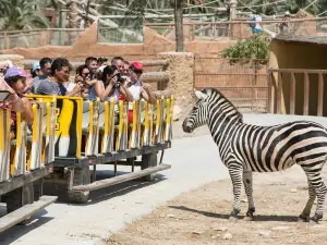 Rio Safari Elche