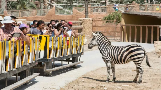 Rio Safari Elche