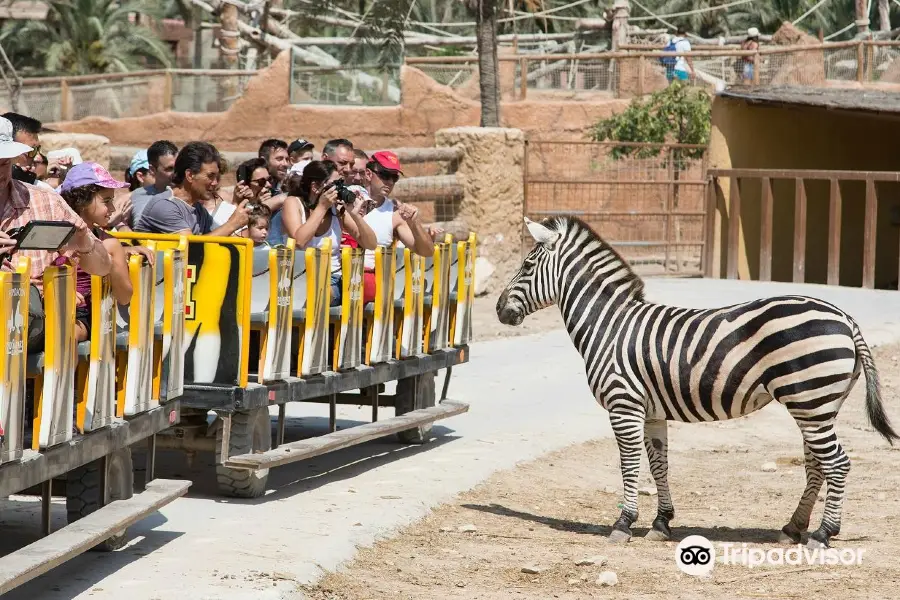 Rio Safari Elche