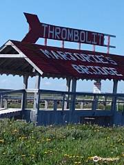 The Marjorie Bridge & Thrombolites Walking Trail