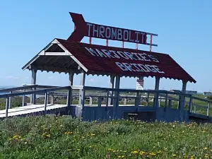 The Marjorie Bridge & Thrombolites Walking Trail