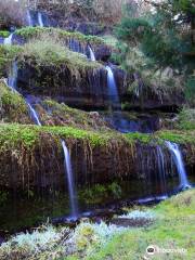 Tarojiro Falls