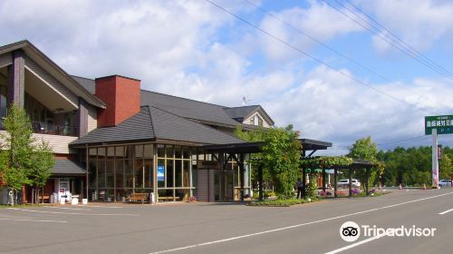 Goto Sumio Museum