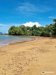 Fossil Shell Beach Krabi (Susan Hoi)