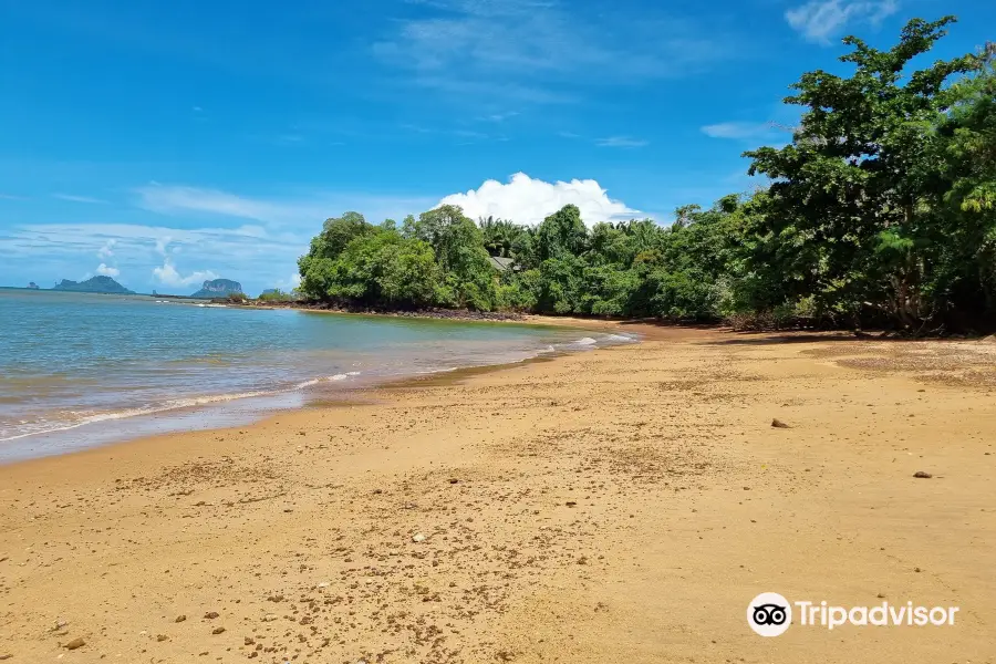 Fossil Shell Beach Krabi (Susan Hoi)