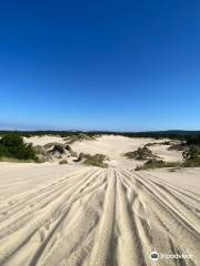 Spinreel Dune Buggy and ATV Rentals and Dune Tours
