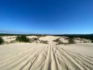 Spinreel Dune Buggy & ATV Rentals & Dune Tours