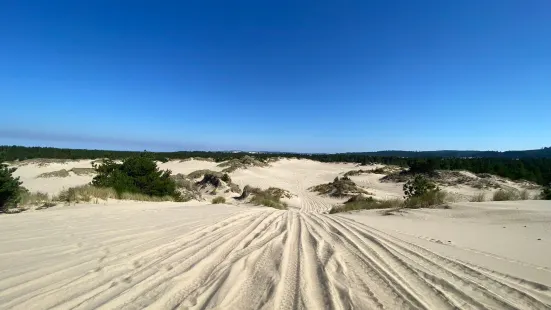 Spinreel Dune Buggy and ATV Rentals and Dune Tours