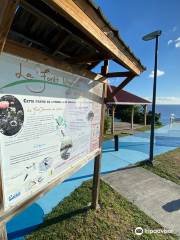 Point de vue de l’Anse Marigot
